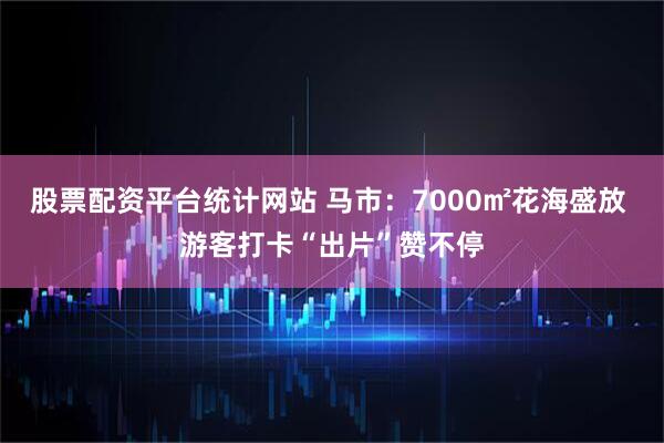 股票配资平台统计网站 马市：7000㎡花海盛放 游客打卡“出片”赞不停